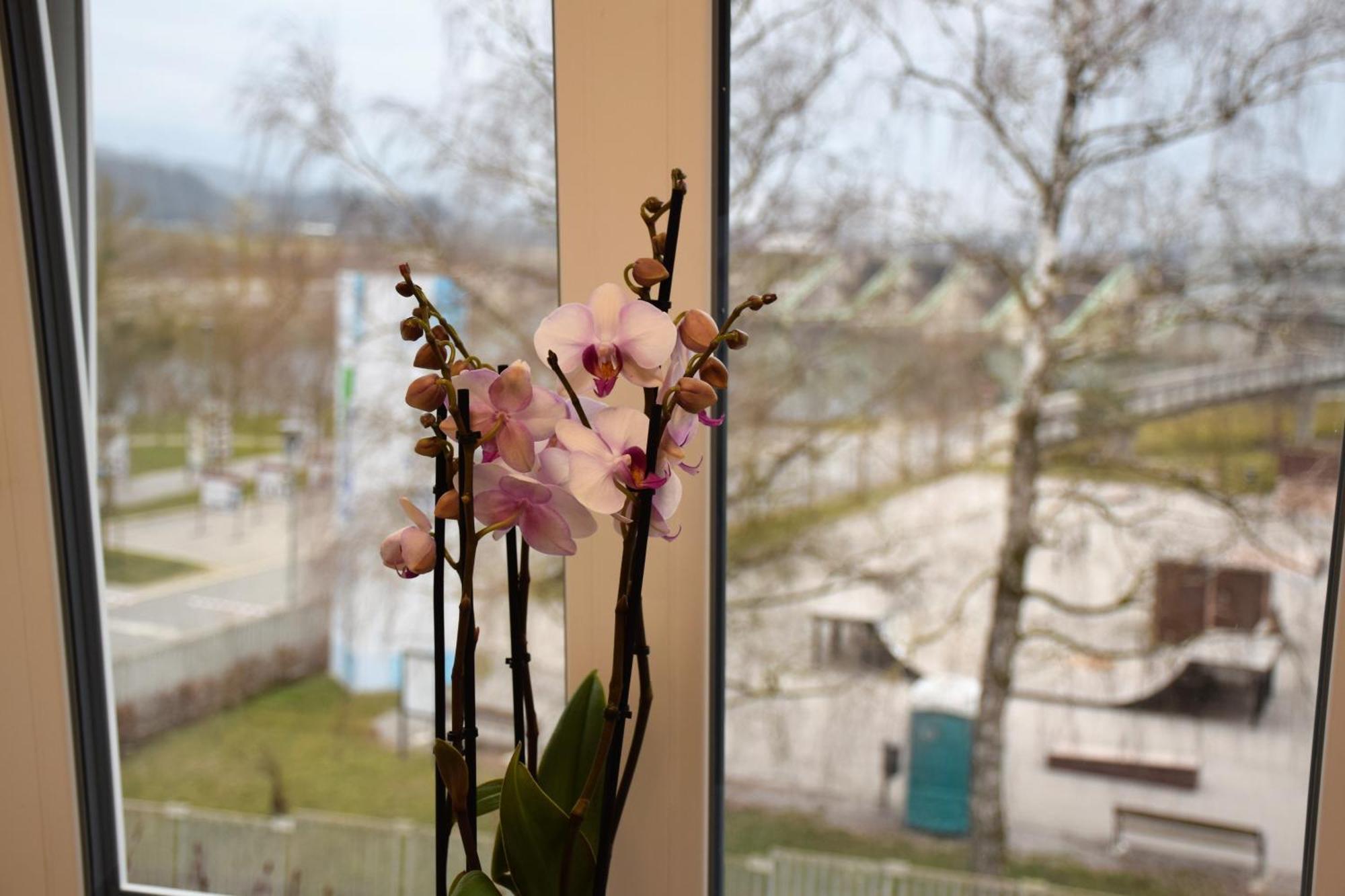 Guesthouse Pr'Sefu Brežice Δωμάτιο φωτογραφία